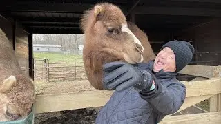 Chuck's Big Adventure: Wilstem Wildlife Park