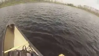 Spinnan Lake - Drifting out in the middle of the lake - This is in the Weasel Lake PMA in the BWCA