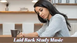Lofi Hip Hop Beats Study Relax Loop Music