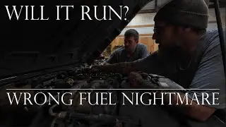 An American Farmer saves Randy the Landy