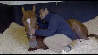 Groom Jerry Dixon and Kentucky Derby winner Rich Strike share a touching moment before the Belmont