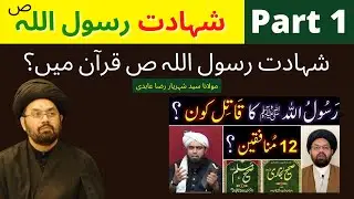 Part 1 | Shadaat e Rasool(s.a.w.w)  | Maulana Syed Shahryar Raza Abidi