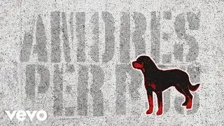 Gustavo Santaolalla - Amores Perros (Visualizer / Soundtrack Remasterizaci&oacute;n 2025)