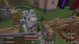 Ho trovato un geoide di ametista nella Matteo world |minecraft ita