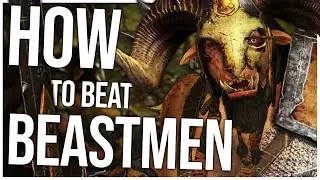 How to Beat the Beastmen | Total War Warhammer 3