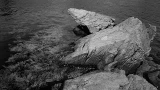 Xtol & Foma Tech Sheets Gone Wild, Pushing Film, and Announcements!