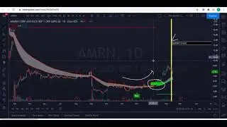 Trading View Setup