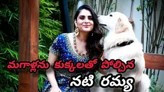 Actress Ramya compares men to dogs || Actress Ramya Says Dogs Eguel To Gens 