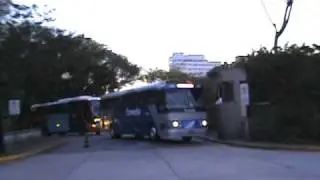 CMA Flecha Azul e CMA Estrel&atilde;o ''Halley'' Brazilian Buses