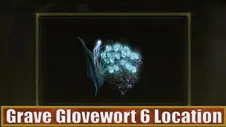 Elden Ring Grave Glovewort 6 Location (War-Dead Catacombo)