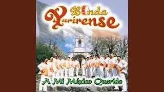 Insensible