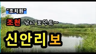 [세종]_ 조천 신안리보 / 주차 편하고 낚시 편한 곳 / 서창역 포인트 / 세종시 조치원읍 신안리 53-8