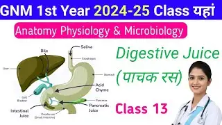 GNM 1st year 2024-25 की Class,  Digestive juice पाचक रस, Bio-Science Video 13, GNM Nursing 1st Year 