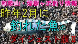 02-04　煙樹ヶ浜釣り情報・特別編【第1510回】昨年2月に釣れた魚のダイジェスト版Ⅱ ＃遠投カゴ釣り #和歌山・釣り #煙樹ヶ浜