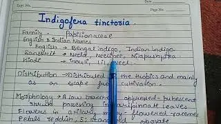 Indigofera tinctoria/Neel morphology,part used,major ayurvedic formulation Ethnobotanicalusefulplant