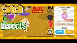 The Lizard Girl's Fall Season Prep Event | Play Together Game • Catch Insects And Bugs VIP