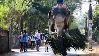 Utoly anandan