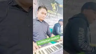 player organ tunggal belajaran