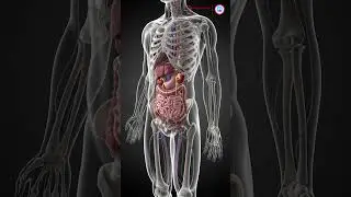 Dr. Anill Keskar &ndash; Best Urologist in Keshav Nagar, Pune