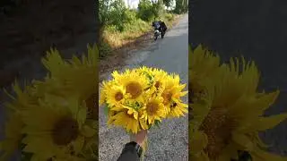 Мотопутешествие #ukraine #rock #travel #motorcycle