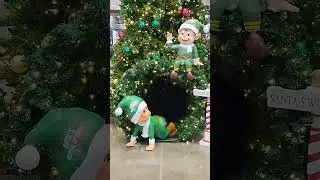 Christmas a tree DICKS Sporting goods