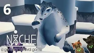 Dancing With Balance Bears &bull; Niche &bull; Mountain Update &bull; Episode 6
