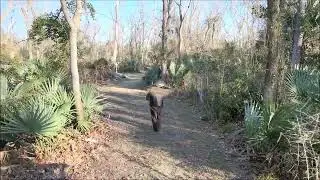 3D Archery Range (28 Lanes) 012626