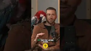 Live Animal Show!