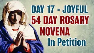 54 Day Rosary Novena Day 17 💙Joyful Mysteries