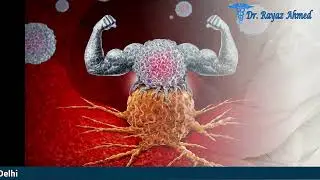 TREATMENTS AND INVESTIGATIONS FOR LEUKEMIA TREATMENT