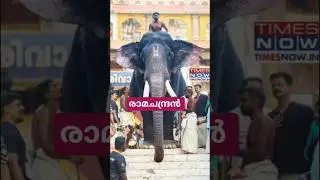 എന്താ തലയെടുപ്പ്... #elephant #festival #viralshort #viral #viralreels