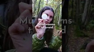 Why you should learn about wild mushrooms! | Foraging & Mushroom identification #mushroom