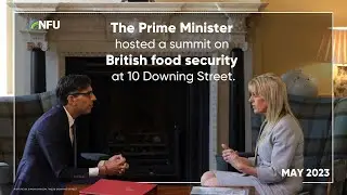 British food standards and food security