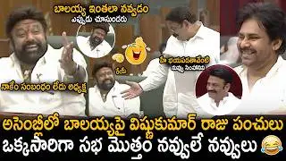 See The Hilarious Scene In Assembly | Vishnu Kumar Raju Funny Punches On Bala Krishna | Sahithi Tv