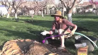 How to Compost Chicken Manure