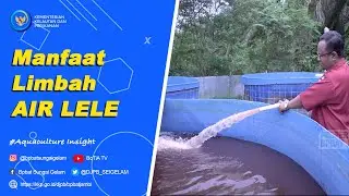 Implementasi Budidaya Ikan Berbasis Ekonomi Biru #Aquaculture #insight 02