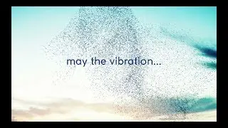 Emiliano Toso: 432Hz Videoclip from Love Seeds. Music for cells, nature connection, healing.