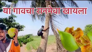या गावचा रानमेवा खायला chaltay ki vlog marathi