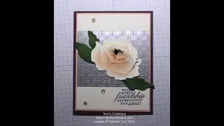 Prized Peony Bundle