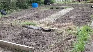 OnePlus 5 Video Stabilisation Test EIS