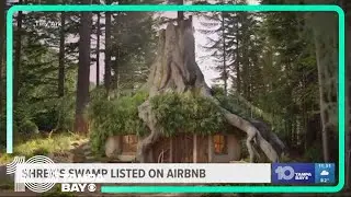 Donkey invites you to book a stay at 'Shrek's Swamp'