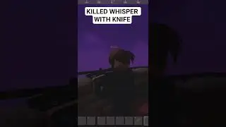 KILLED WHISPER WITH KNIFE |project delta