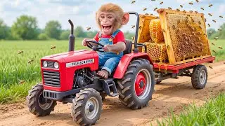 🔥🐒 Monkey NaNa&rsquo;s Bee Farm Discovery Turns WILD! His Smart Honey Harvest Plan Shocks Everyone 🍯🚨💥