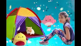 Playing with a tent in the backyard