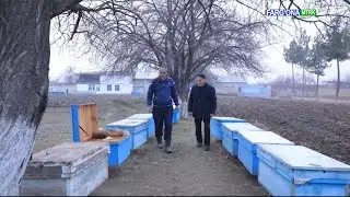 24 января 2026 г.