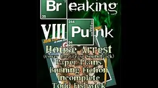 Breaking Punk VIII (14-05-16)