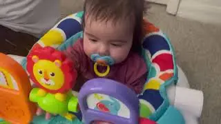 Fisher-Price Portable Baby Chair Review