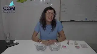 Coral Bleaching Lesson Teacher Tutorial