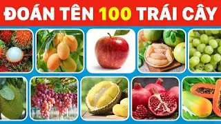 Đo&aacute;n T&ecirc;n 100 Tr&aacute;i C&acirc;y Trong 5 Gi&acirc;y - Chỉ Người C&oacute; Bộ &Oacute;c Thi&ecirc;n T&agrave;i Mới Trả Lời Đ&uacute;ng Hết | Cat Quiz