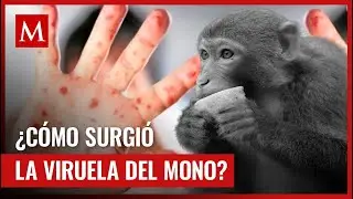 Esta es la raz&oacute;n por la que el Mpox es una enfermedad zoon&oacute;tica; te contamos c&oacute;mo apareci&oacute;